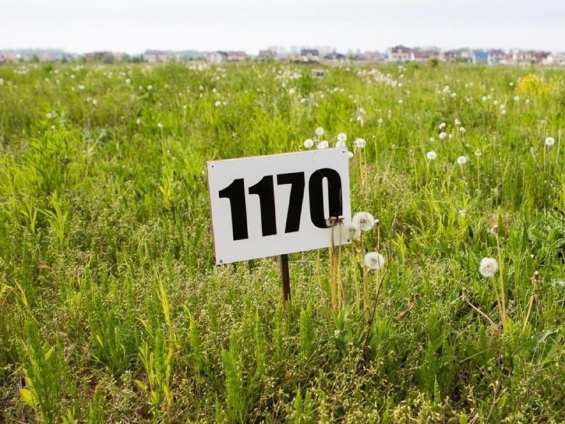 Фото поста канала  Мониторинг 29 Архангельская область