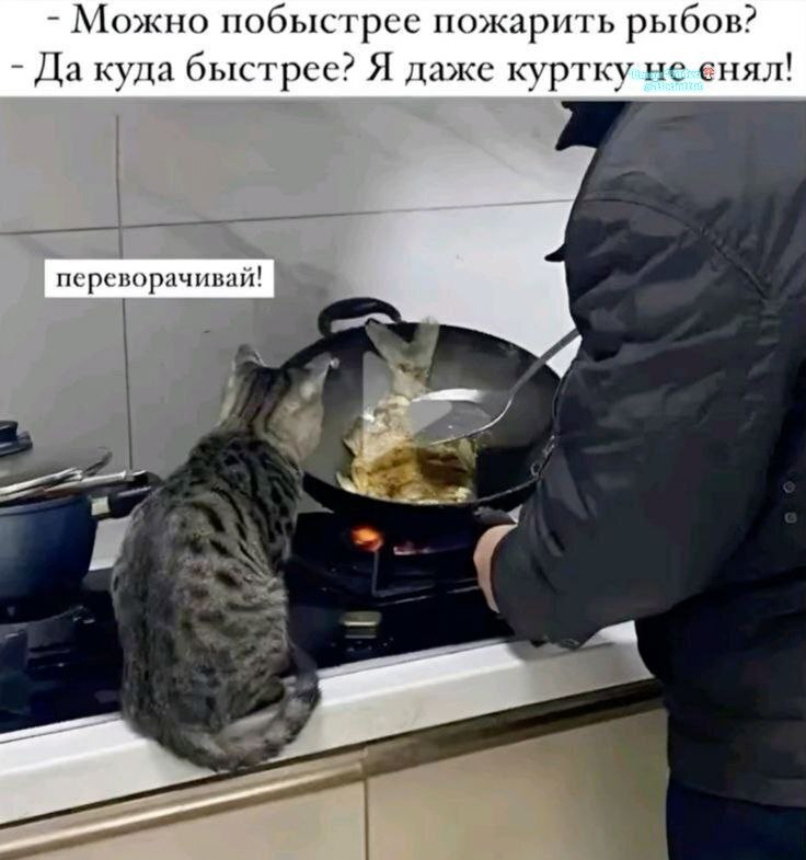 Фото поста канала  Ходють тут всякие!🍄