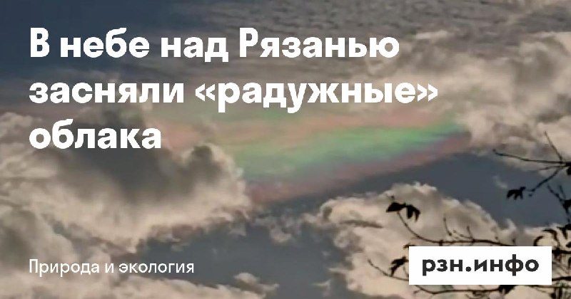 Фото поста канала  Новости Рязани • РЗН.инфо