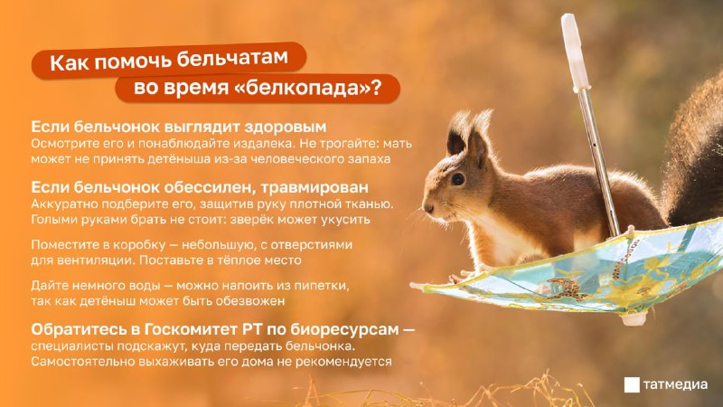 Фото поста канала  ТАТМЕДИА | Новости Казани и Татарстана