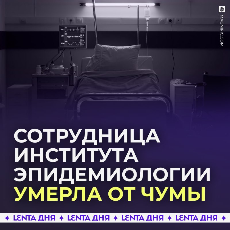Фото поста канала Лента дня