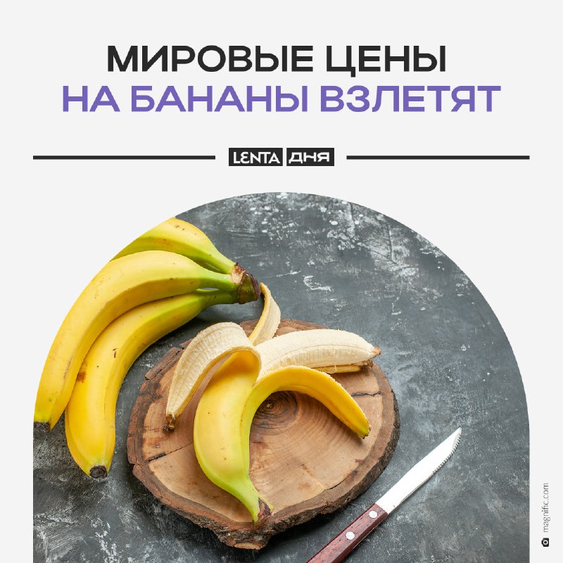 Фото поста канала Лента дня