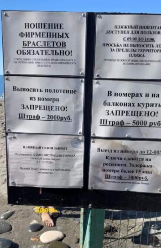 Фото поста канала  Леонардо Ди Ванче