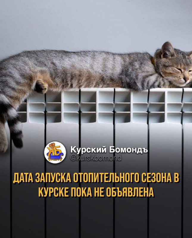 Фото поста канала  КУРСКИЙ БОМОНДЪ