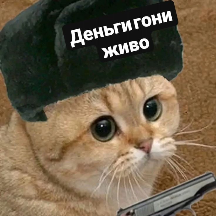 Фото поста канала  Москва против мобилизации