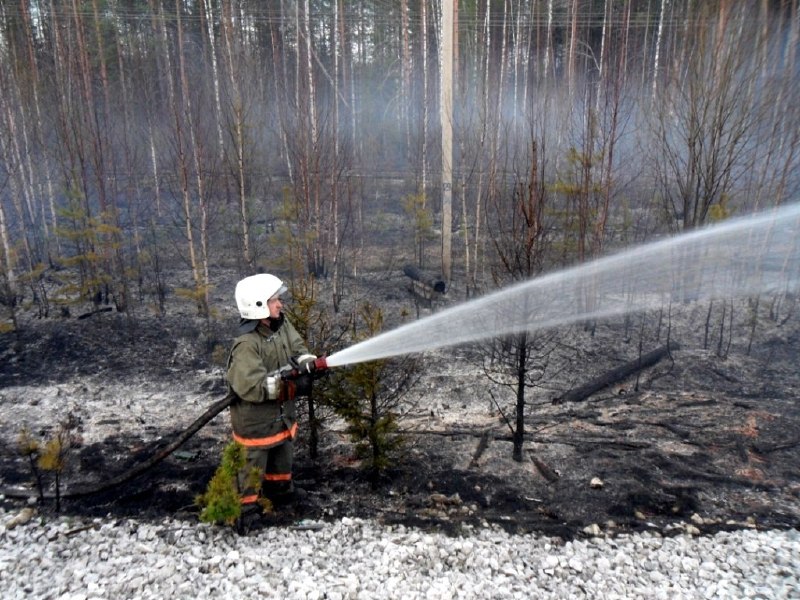 Фото поста канала  Мониторинг 11 Республика Коми