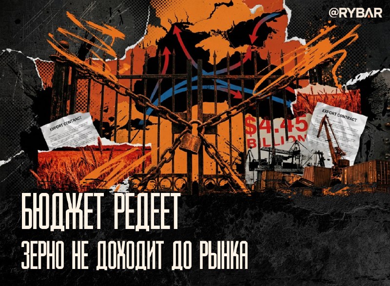 Фото поста канала  Кот канал-Z 🧌