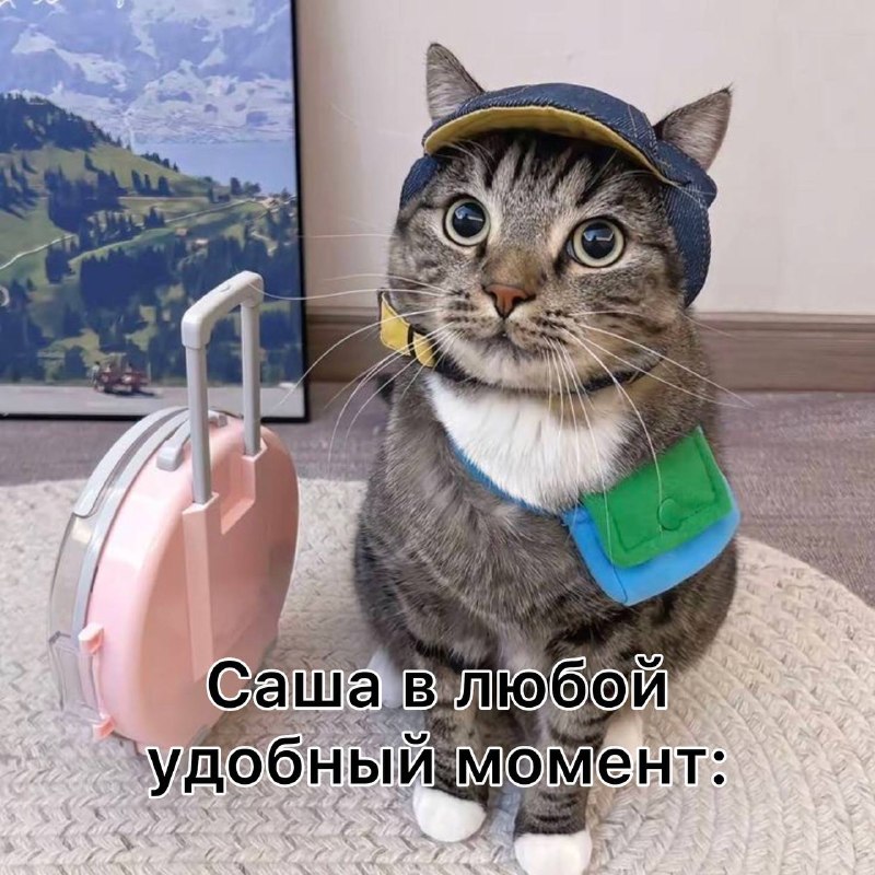 Фото поста канала НМШ 