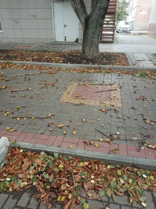 Фото поста канала  Подслушано Курчатов
