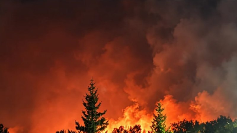 Фото поста канала Мой и твой Воронеж