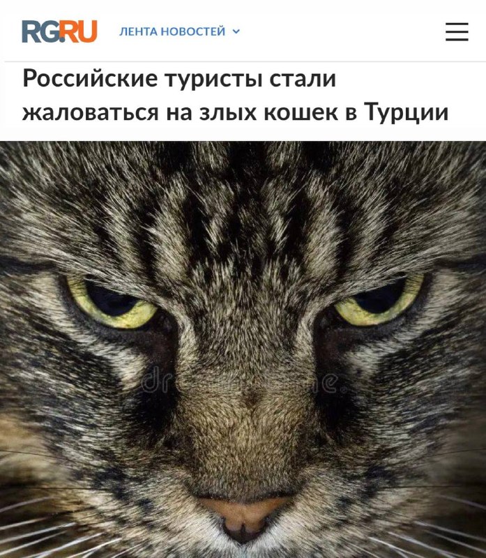 Фото поста канала  Коваленко. НОВЫЙ МИРОВОЙ ПОРЯДОК- СОПРОТИВЛЕНИЕ