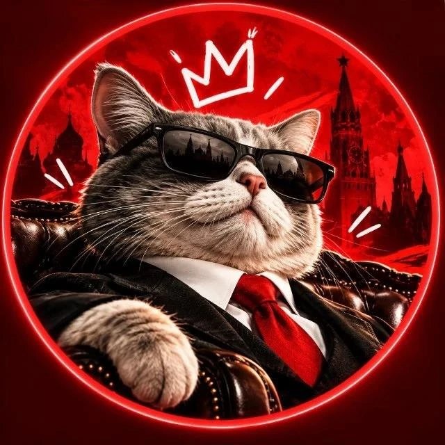 Фото поста канала Лента новостей ДНР | Z ТГ_ТЕСТ