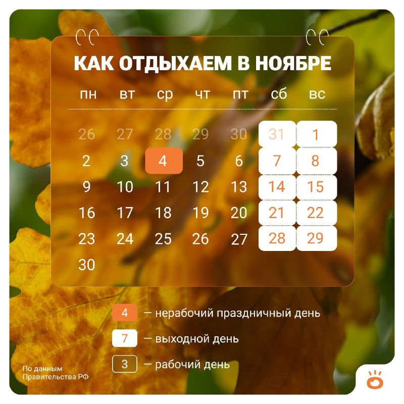 Фото поста канала  E1.RU | Новости Екатеринбурга