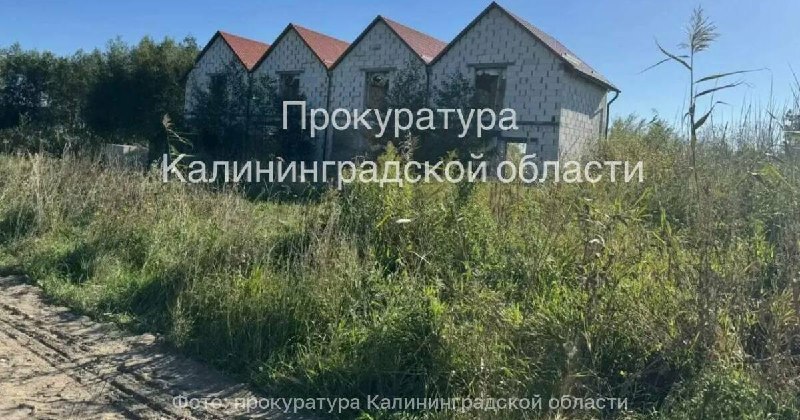 Фото поста канала  Клопс