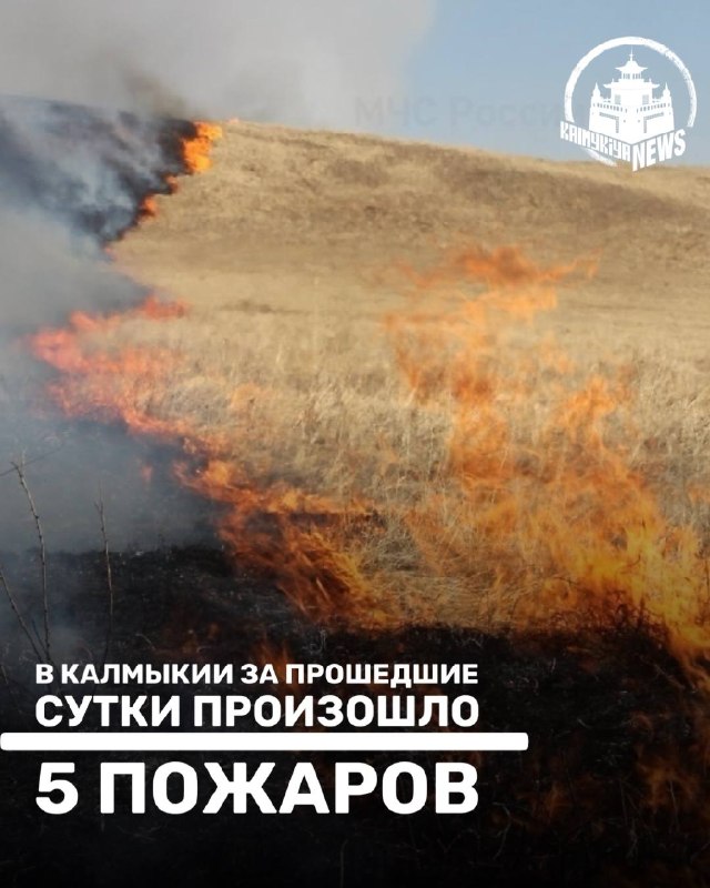 Фото поста канала  Калмыкия NEWS
