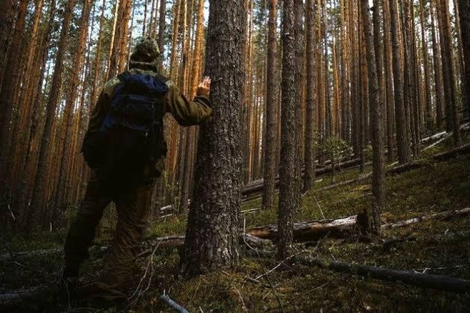 Фото поста канала  Великий Новгород - Свободный Информационный Портал