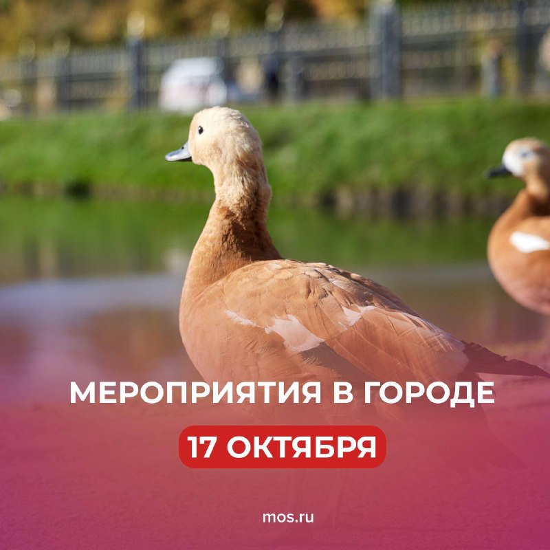 Фото поста канала  РИТА ЭБЗЕЕВА
