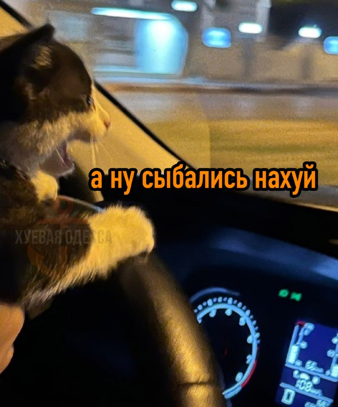 Фото поста канала Хуевая Одесса