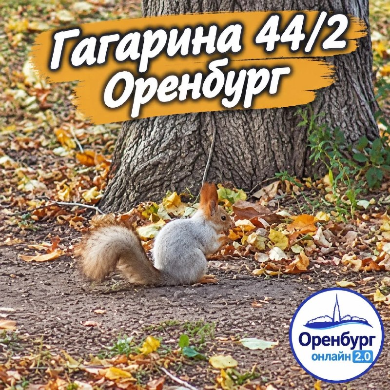 Фото поста канала  Оренбург онлайн | Новости