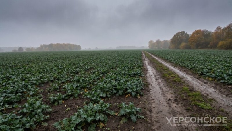 Фото поста канала  Херсонское Агентство Новостей