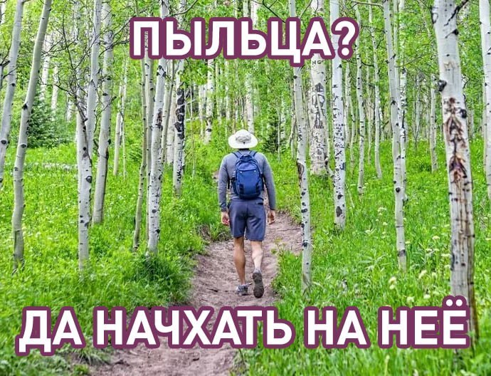 Фото поста канала  Лентач