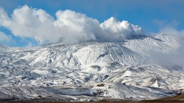 Фото поста канала РБК. Новости. Главное 