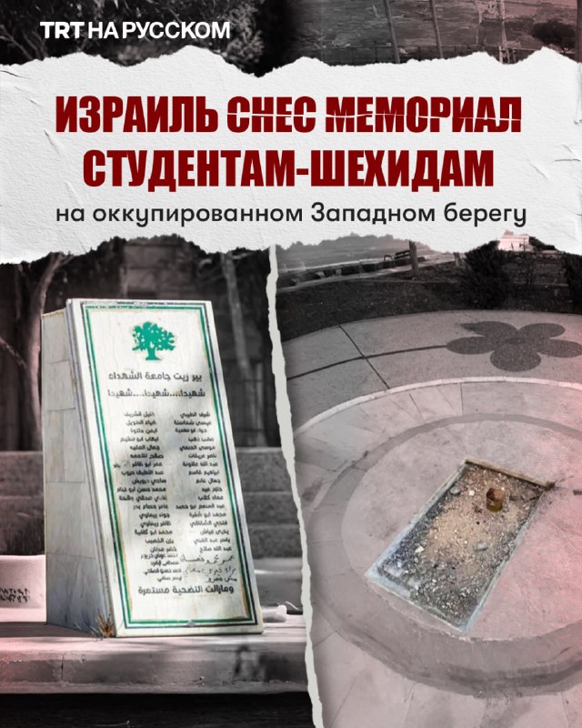Фото поста канала  TRT на русском