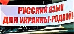 Фото поста канала  Шейх Тамир