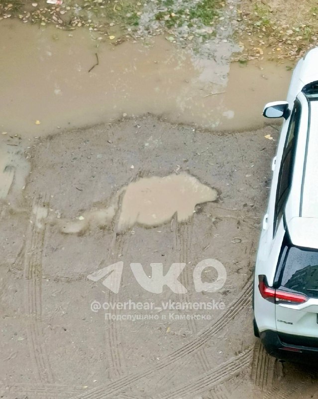 Фото поста канала  Подслушано Каменск-Шахтинский