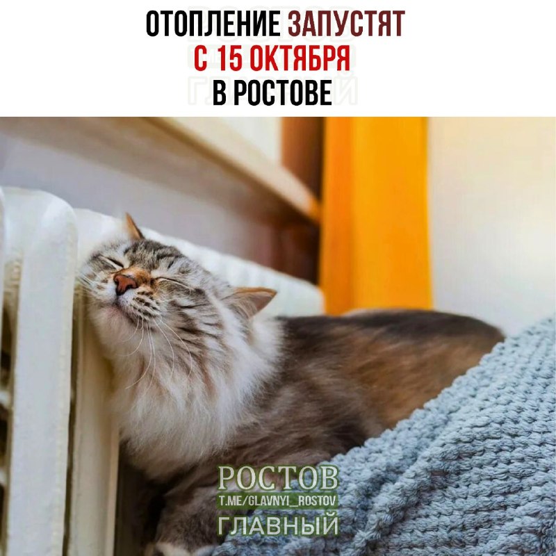 Фото поста канала  Ростов Главный новости