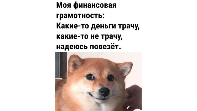 Фото поста канала TrendWatching