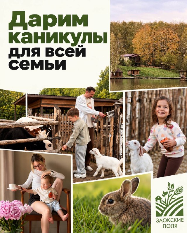 Фото поста канала  ЧП Серпухов