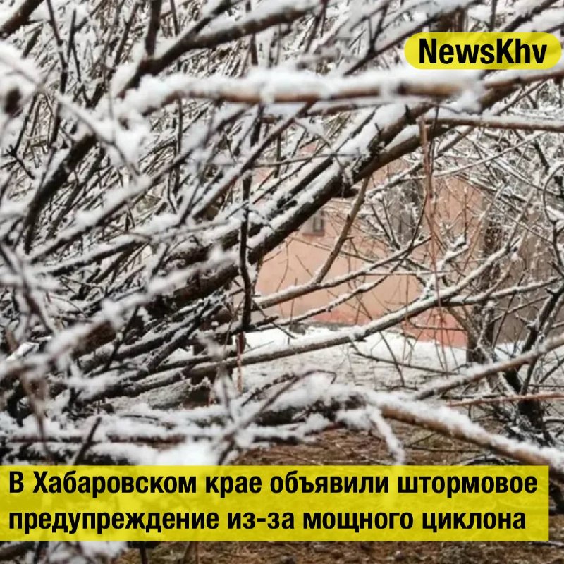 Фото поста канала  NewsKhv