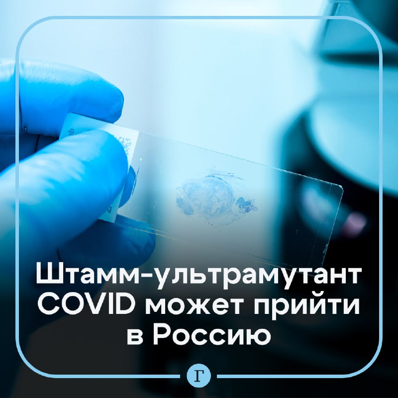 Фото поста канала  Газета.Ru