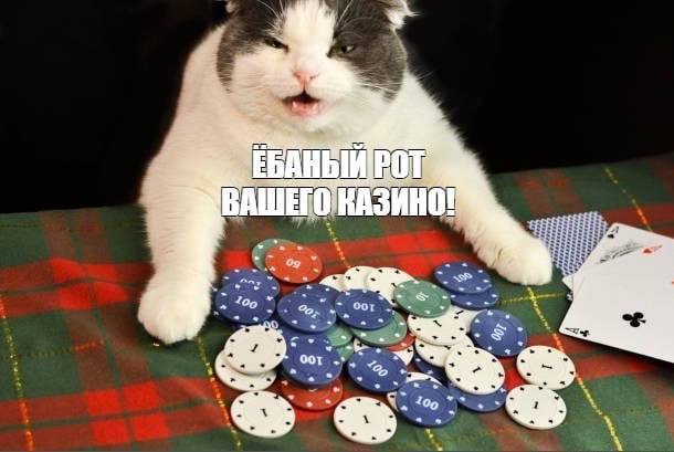 Фото поста канала Картотека