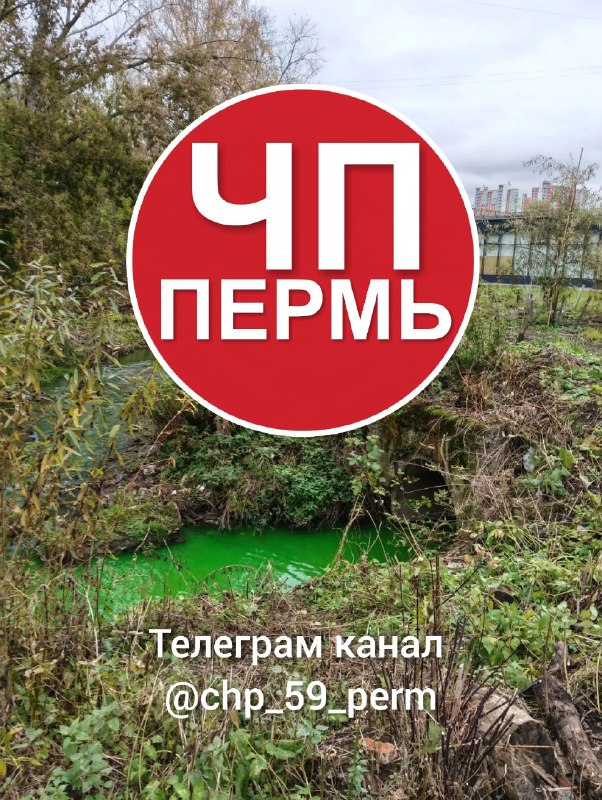Фото поста канала ЧП Пермь | новости