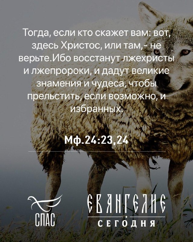 Фото поста канала  Телеканал СПАС