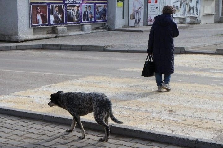 Фото поста канала  Лента новостей Крыма Z Новости Крыма