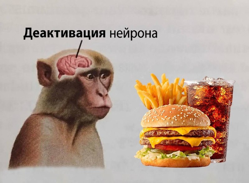 Фото поста канала Новости Москвы