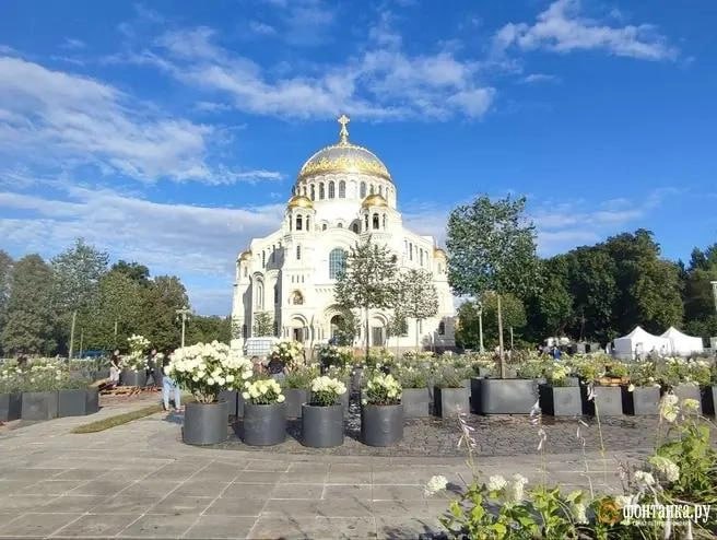 Фото поста канала  Фонтанка SPB Online