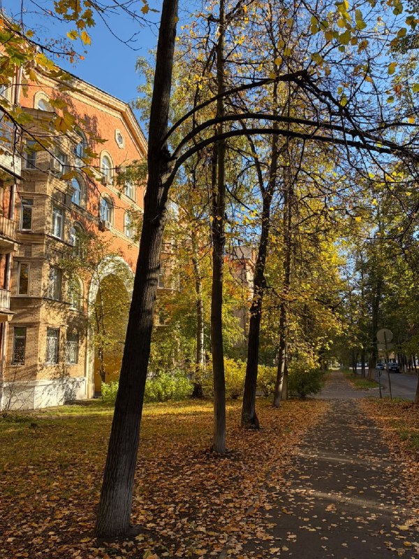 Фото поста канала ГородОК Жуковский Раменское