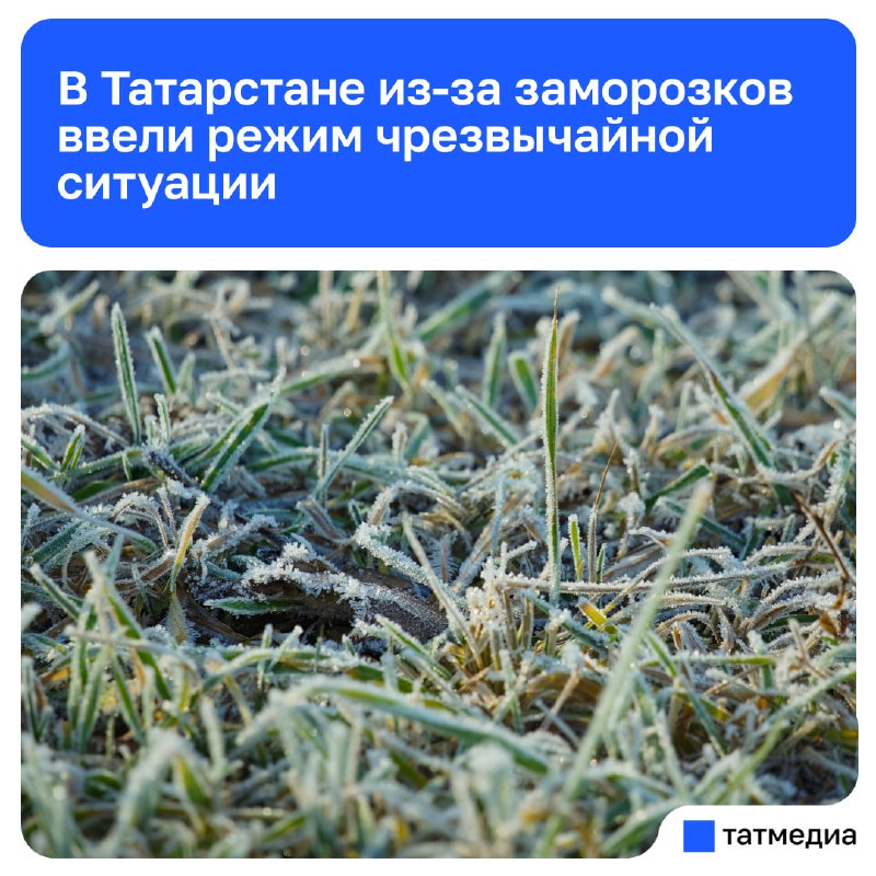 Фото поста канала  ТАТМЕДИА | Новости Казани и Татарстана