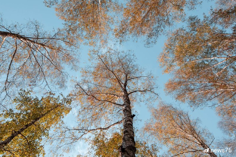 Фото поста канала  Мониторинг 76 Ярославская область