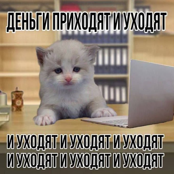 Фото поста канала Onliner