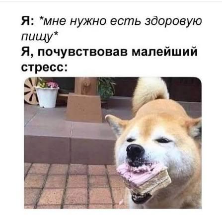 Фото поста канала Контрольная закупка