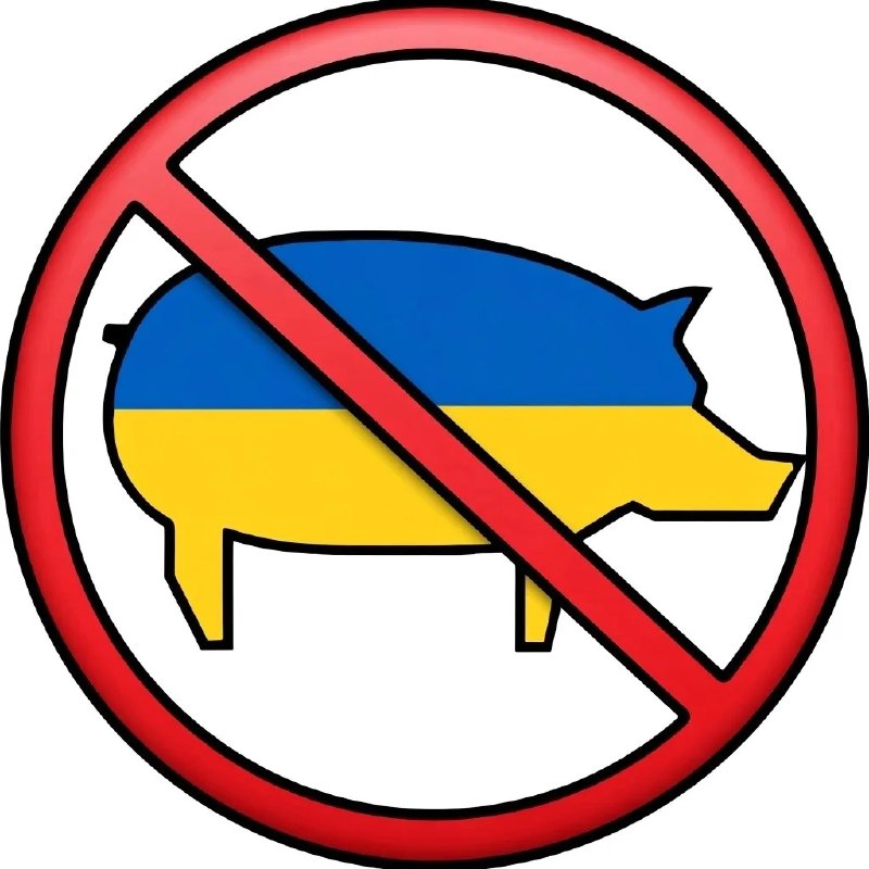Фото поста канала  Смотри на мир открытыми глазами