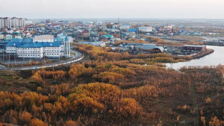 Фото поста канала  ЯМонитор
