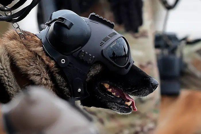 Фото поста канала Дмитрий Никотин 