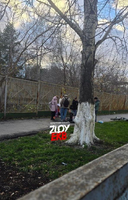 Фото поста канала  Zloy_ekb 18+ | Злой Екатеринбург