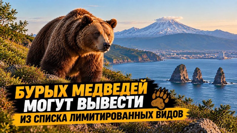 Фото поста канала  Камчатский Репортёр